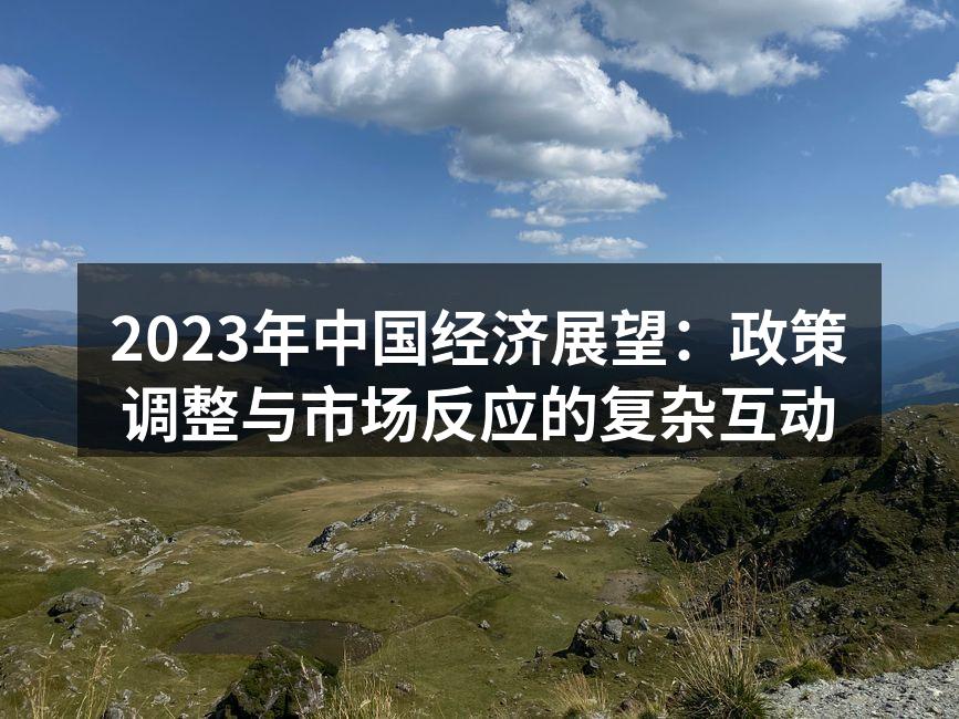 2023年中国经济展望：政策调整与市场反应的复杂互动