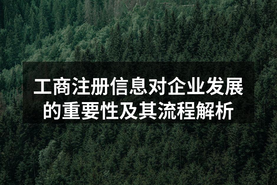 工商注册信息对企业发展的重要性及其流程解析