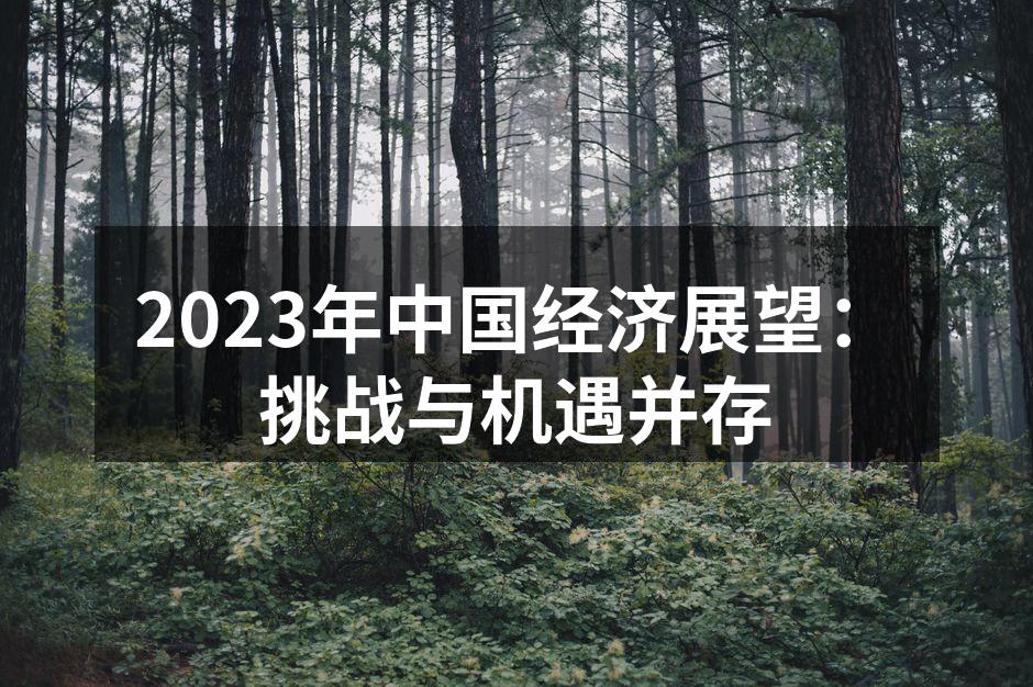 2023年中国经济展望：挑战与机遇并存