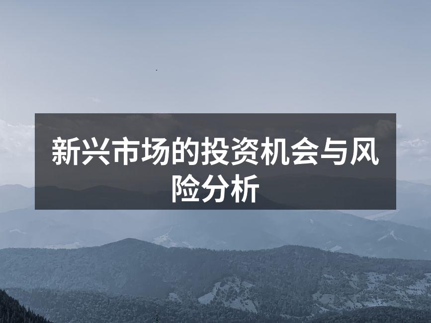 新兴市场的投资机会与风险分析