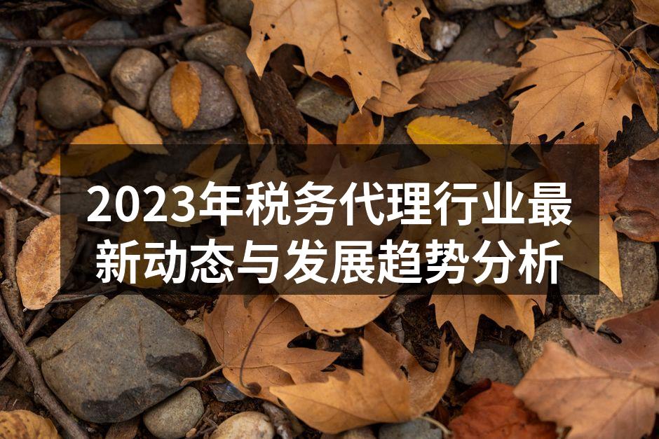 2023年税务代理行业最新动态与发展趋势分析