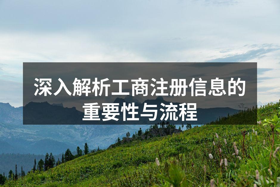 深入解析工商注册信息的重要性与流程