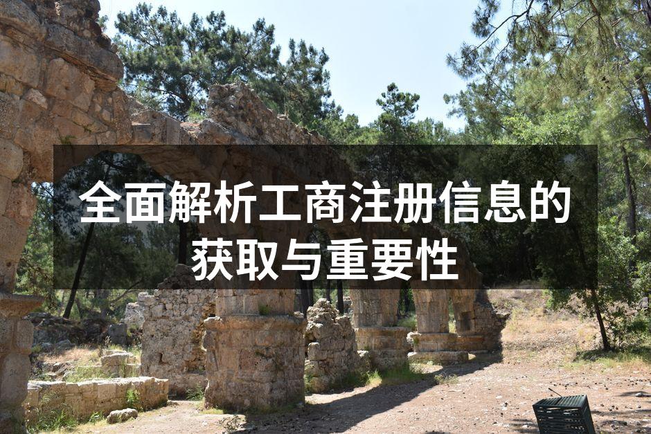工商注册信息示例